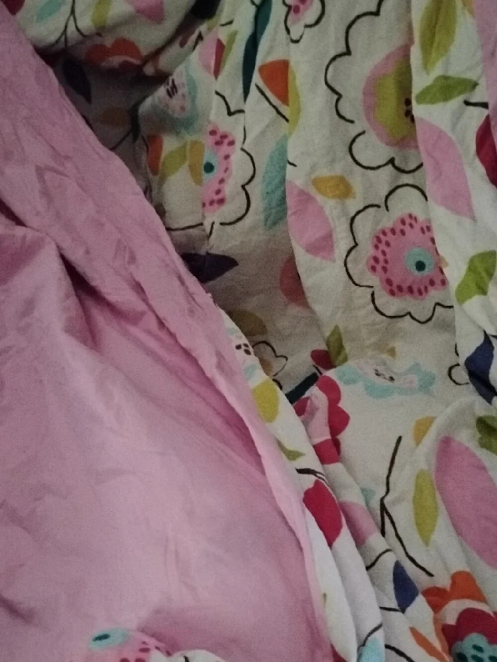 Pottery Barn Teen Floral Multicolor Duvet Cover - & pillow Case.Used Condition